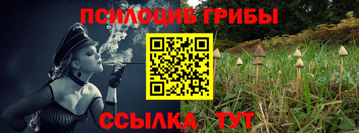что такое наркотик  Галлюциногенные грибы Psilocybine cubensis  Вход с VPN  Удомля  Псилоцибиновые грибы мухоморы 